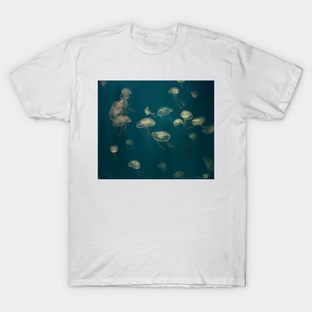 Jellyfish Dance VI. Vladivostok Aquarium T-Shirt by IgorPozdnyakov
